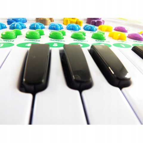 ORGANKI PIANINKO FARMA ZWIERZ NAGRYW FARMA 8843