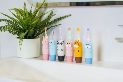 1804 SZCZOTECZKA DO ZĘBÓW CZARNA GIO-451 BLACK