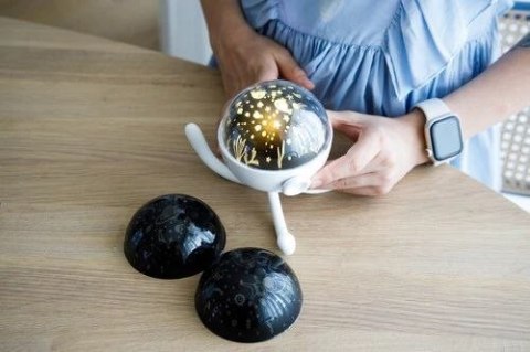 1811 PROJEKTOR OCTOPUS GIO-170