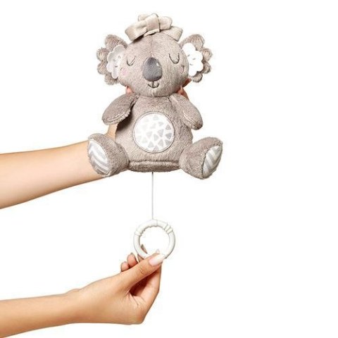 1632 POZYTYWKA KOALA COCO