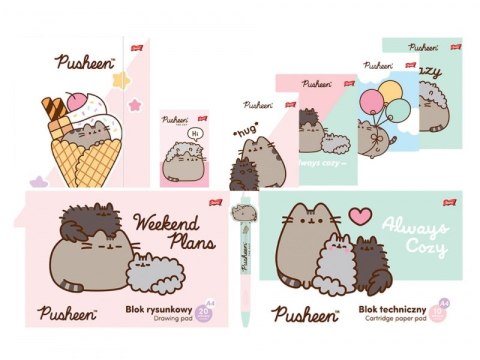 Teczka z Gumką Pusheen The Cat Kotek 9 elementów