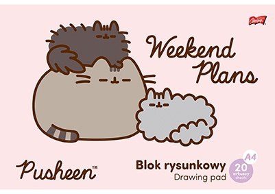 Teczka z Gumką Pusheen The Cat Kotek 9 elementów