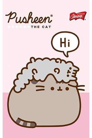 Teczka z Gumką Pusheen The Cat Kotek 9 elementów