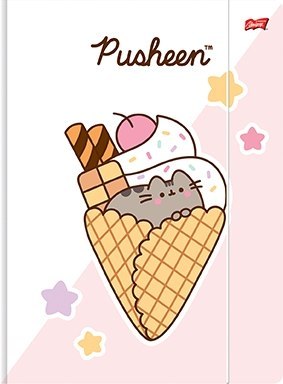 Teczka z Gumką Pusheen The Cat Kotek 9 elementów