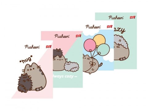 Teczka z Gumką Pusheen The Cat Kotek 9 elementów