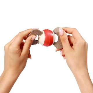 1587 GRZECHOTKA Z GRYZAKIEM