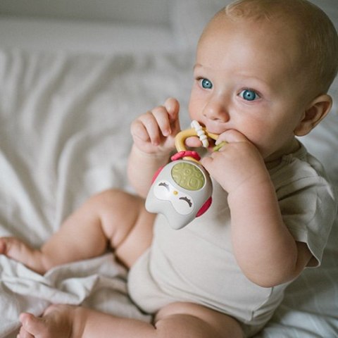 1588 GRZECHOTKA Z GRYZAKIEM