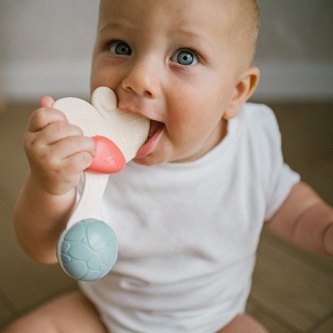 1589 GRZECHOTKA Z GRYZAKIEM