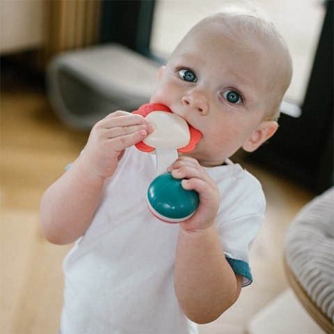 1590 GRZECHOTKA Z GRYZAKIEM