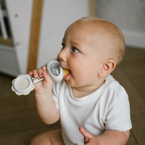 1591 GRZECHOTKA Z GRYZAKIEM