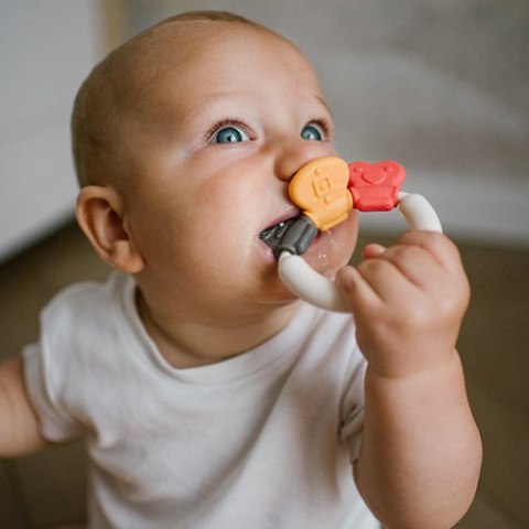 1595 GRZECHOTKA Z GRYZAKIEM