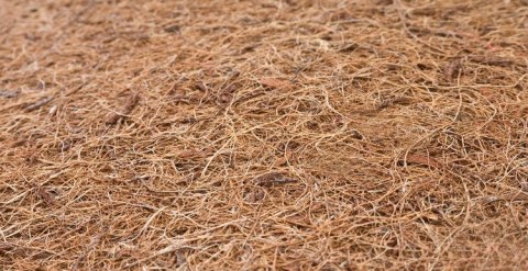 MATERAC KOKOS-PIANKA-KOKOS CLASSIC 140×70 (8cm)