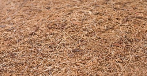 MATERAC LATEKS-PIANKA-KOKOS ALOE VERA 140×70 (12cm)