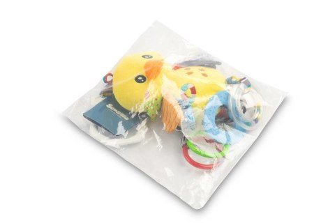 COLORFUL GRZECHOTKA PODRÓŻNA KACZKA