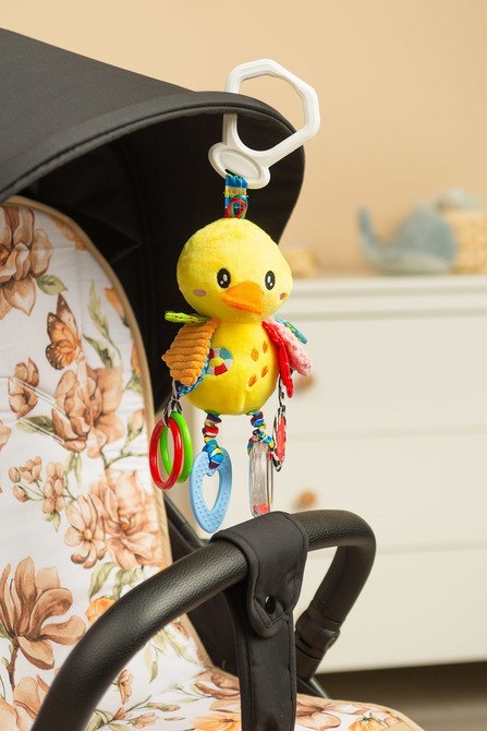 COLORFUL GRZECHOTKA PODRÓŻNA KACZKA