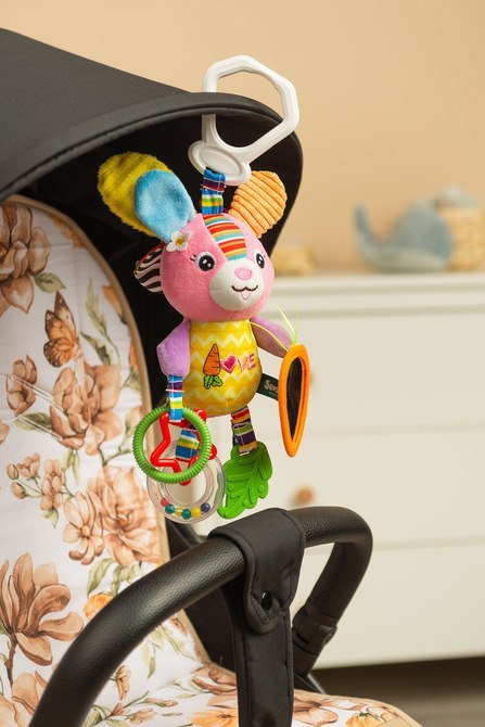 COLORFUL GRZECHOTKA PODRÓŻNA KRÓLIK