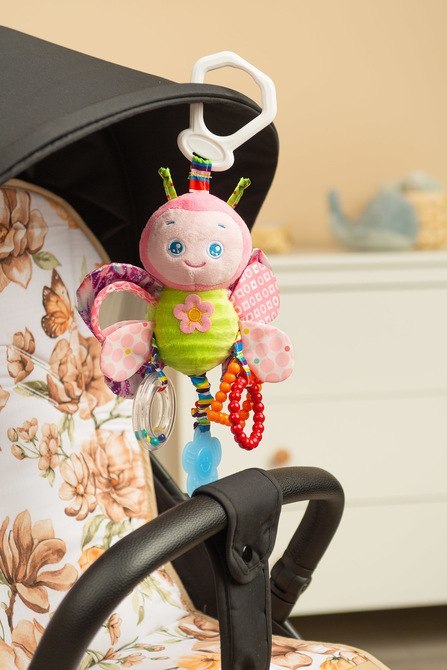 COLORFUL GRZECHOTKA PODRÓŻNA MOTYLEK