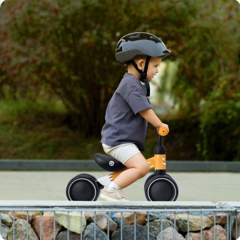 Rowerek biegowy trójkołowy dla dzieci Ricokids