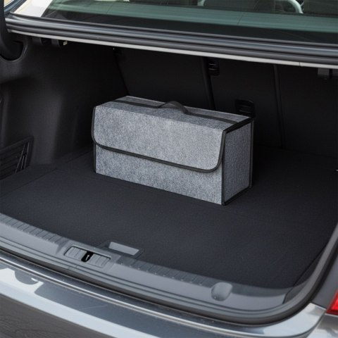 Organizer samochodowy Rexer