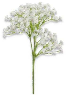 Gipsówka biała 49cm