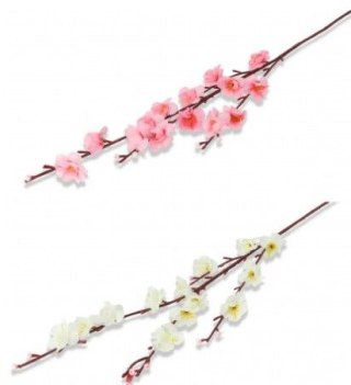 Jabłonka gałązka pojedyncza