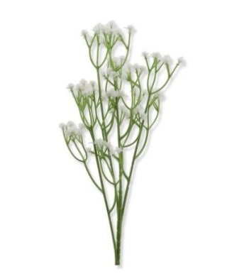 Kaszka gipsówki h-60cm