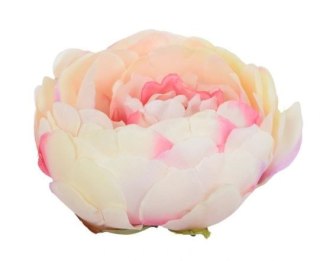 Peonia główka wyrobowa kwiat peoni piwonia brzoskwiniowa różowa