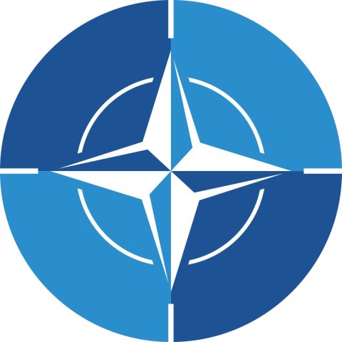 TABLICZKA NATO - ŚR. 24 cm