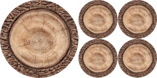 Zestaw podkładek na stół okrągłych 1+4 - ROBINA