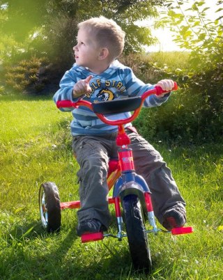 ROWEREK 3-KOŁOWY YORK PURPLE