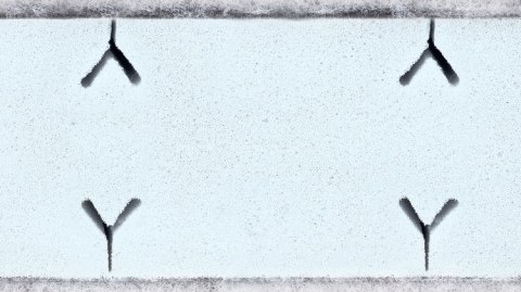 MATERAC DZIECIĘCY SUPREME SEASONS 120×60 (13cm)