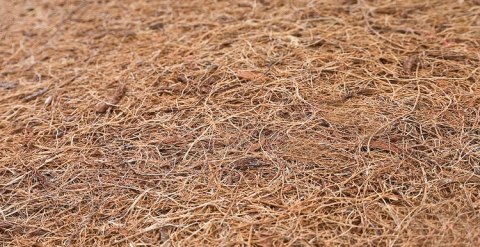 MATERAC KOKOS 120×60 (6cm) K-06