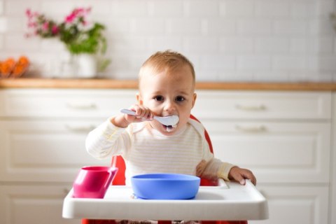 002 DOIDY MISECZKA - TALERZYK NIEBIESKI