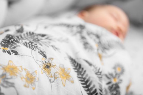 OTULACZ MUŚLINOWY GWIAZDKI 120X120 CM