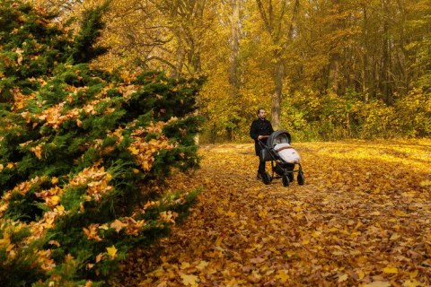 ŚPIWOREK INDIANA ASH 100 X 50
