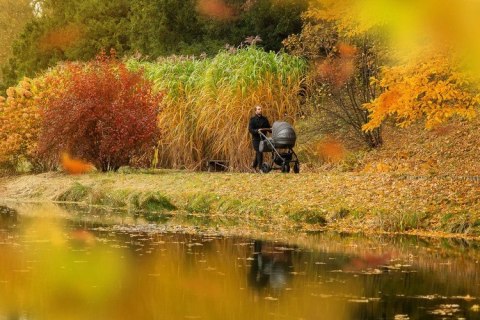 WÓZEK FRONTERA 2W1 ONYX