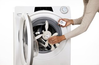 151509 KRÓLICZEK MUZYCZNY