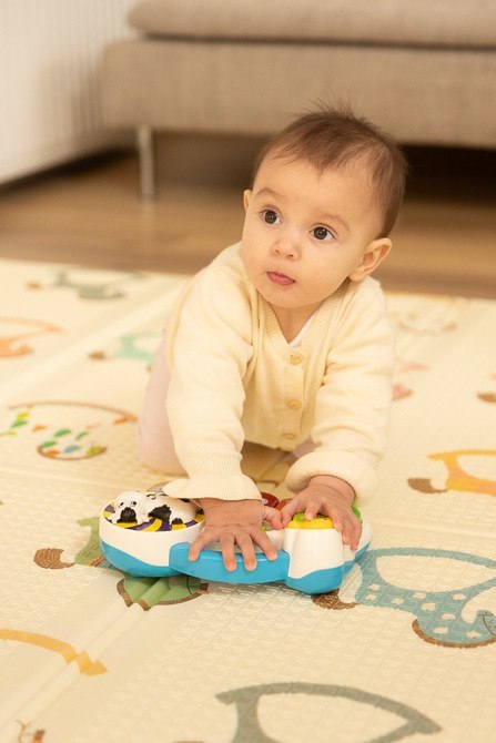 ZABAWKA EDUKACYJNA - PIANINKO FARMA