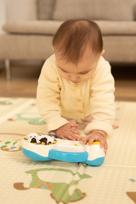 ZABAWKA EDUKACYJNA - PIANINKO FARMA