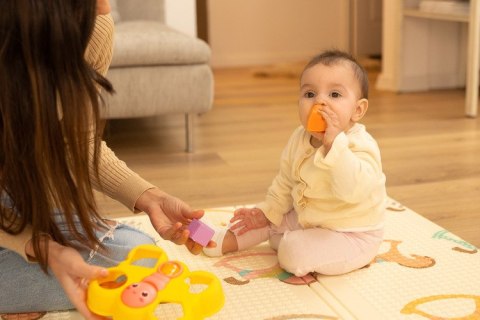 ZABAWKA EDUKACYJNA - MOTYLEK